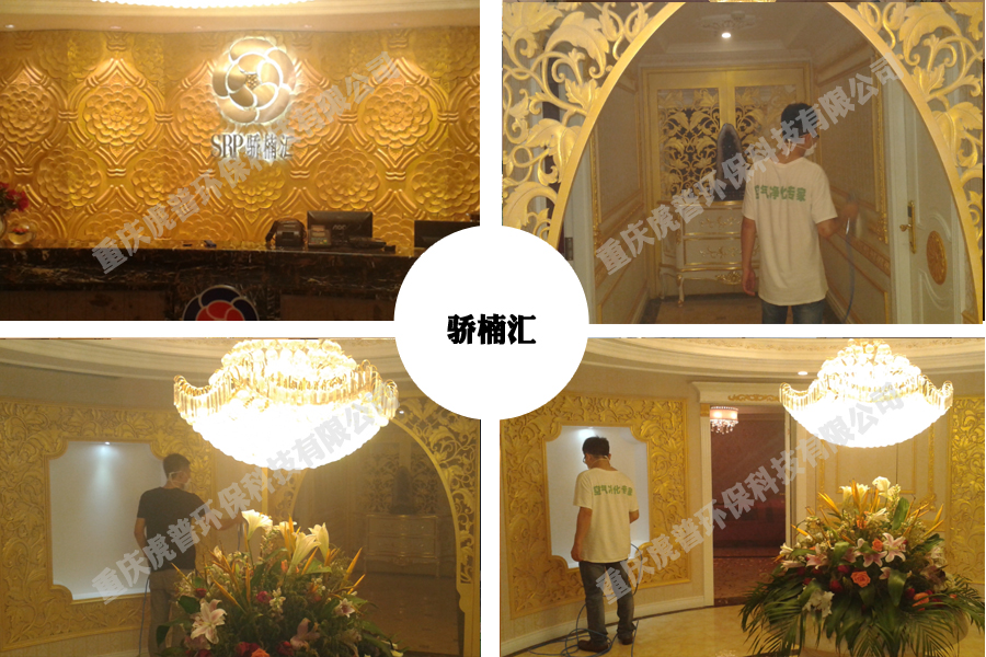 除甲醛公司 除甲醛公司