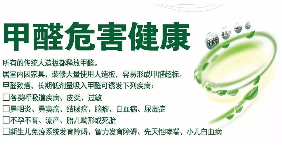 除甲醛公司 除甲醛公司