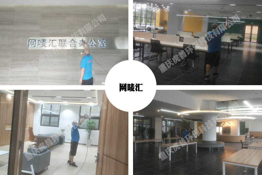 重庆除甲醛公司 重庆除甲醛公司