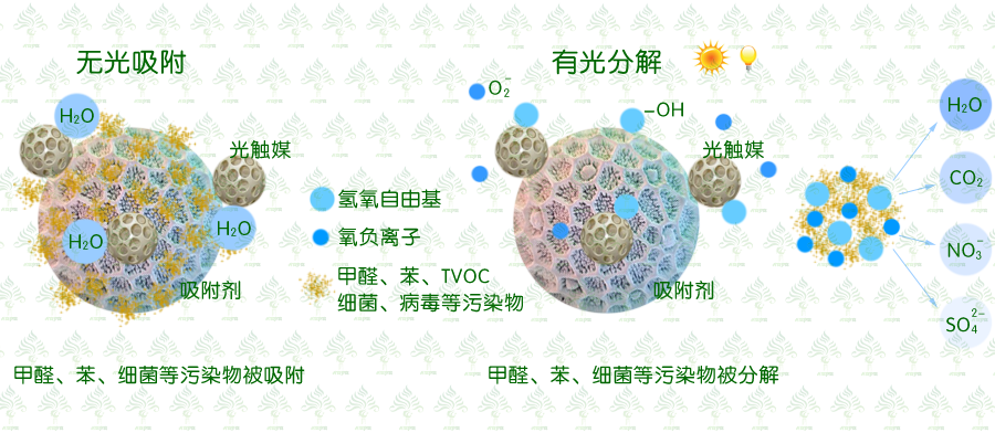 重庆装修除甲醛公司