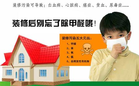 除甲醛公司