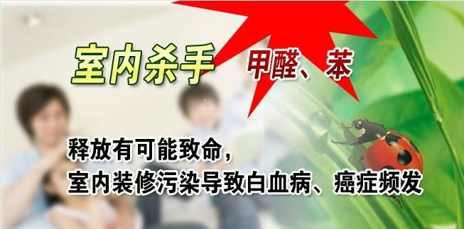 重庆室内除甲醛